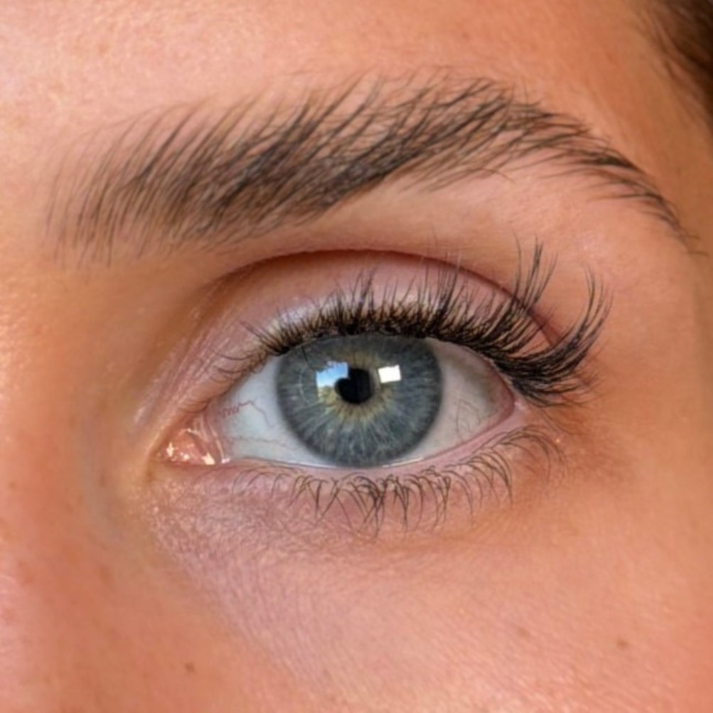 Lashable ELEGANCE Pre-Glued Halbwimpern